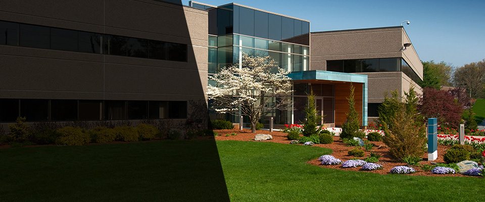 North Palm Beach Landscapers