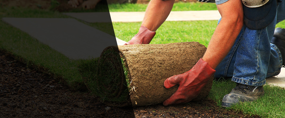 North Palm Beach Landscapers